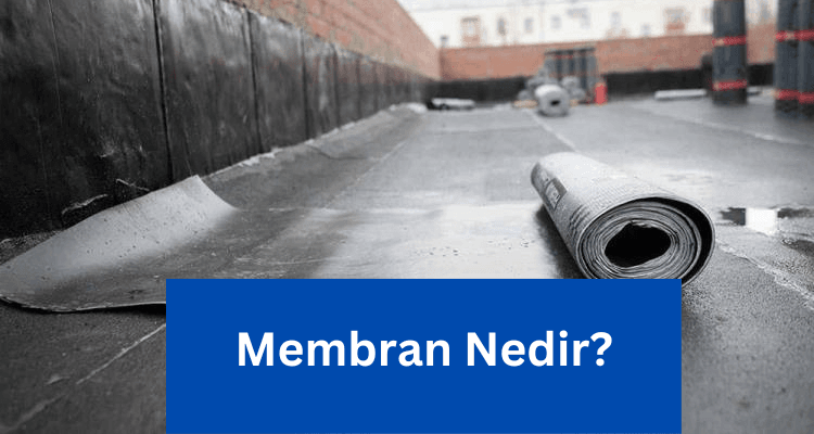 Membran Nedir